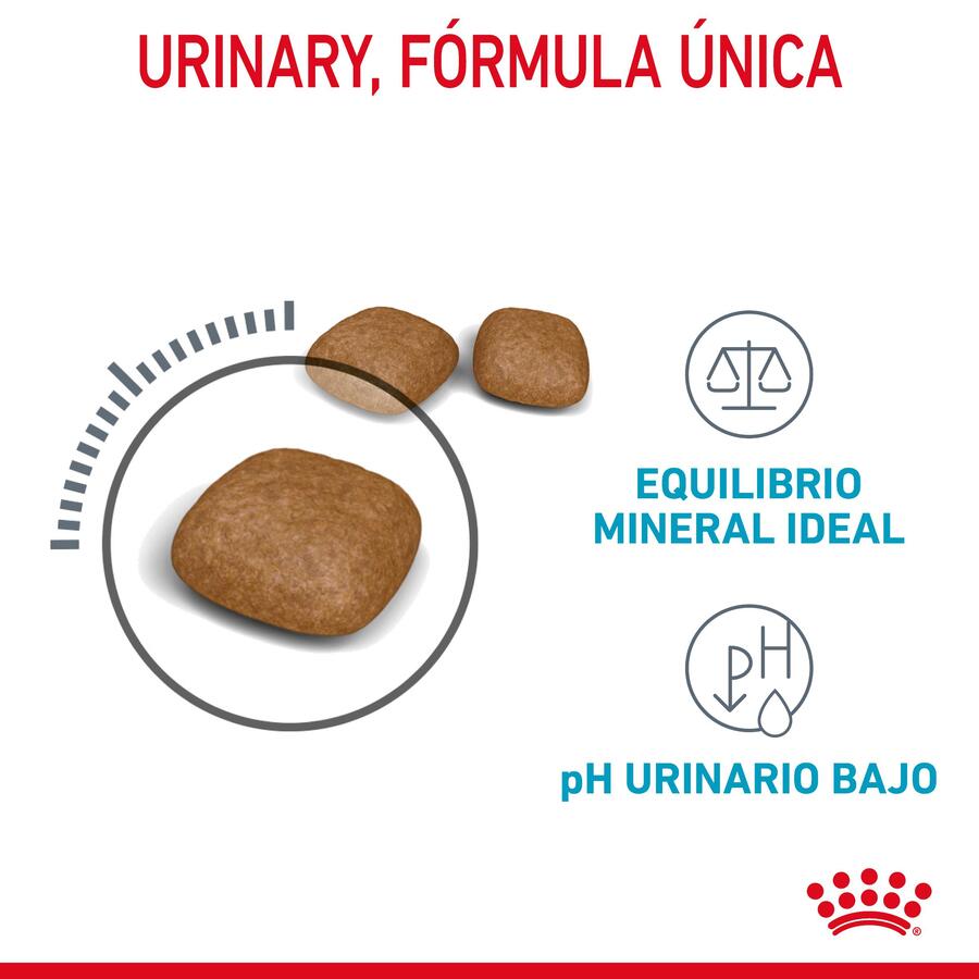 Ração Royal Canin Urinary para gatos