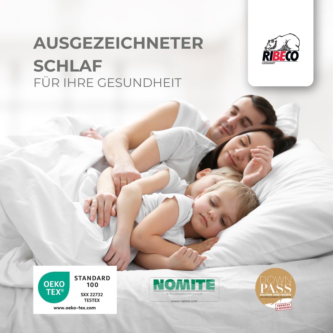 Daunenbettdecke Johanna 135x200 cm & Kopfkissen 80x80 cm im 2er Set –Daunendecke & Kopfkissen aus Federn & Daunen, allergikerfreundlich, Made in Germany, Wärmeklasse: normal