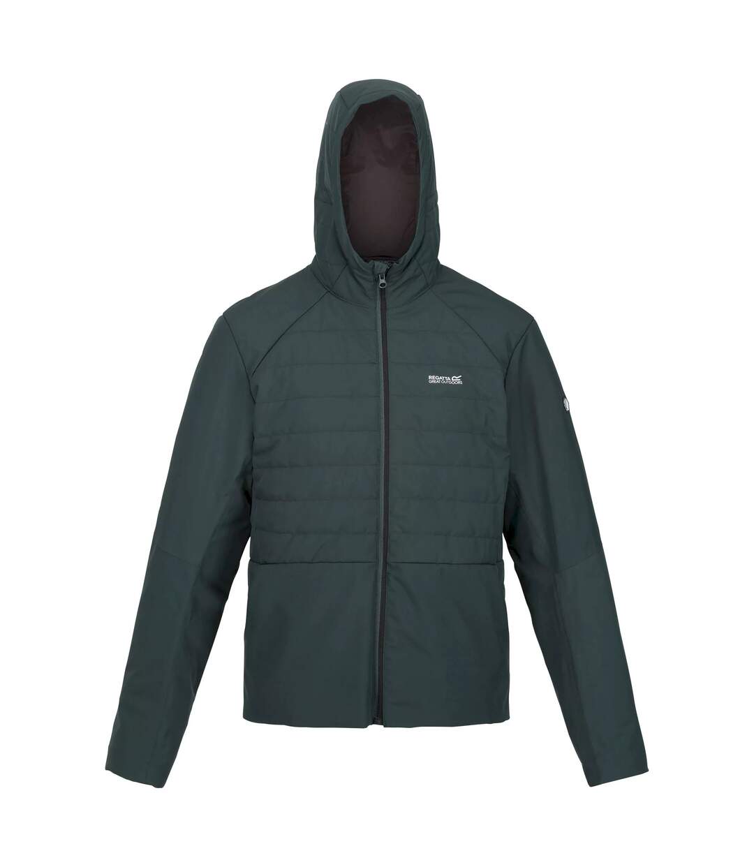 Regatta - Veste DAXFORD - Homme (Sarcelle sombre) - UTRG8368