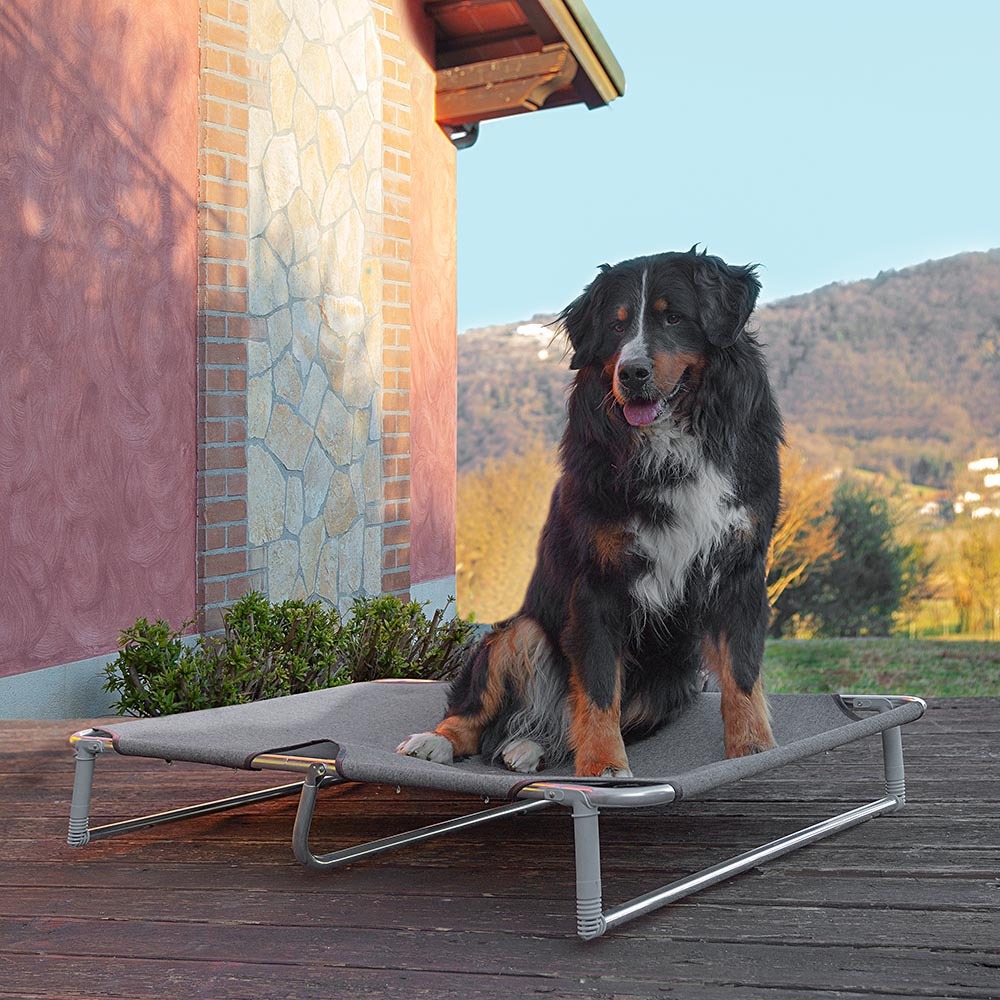 Ferplast lit pliable pour chiens dream 115, avec structure solide en aluminium avec élastiques renforcés, toile en tissu, 119 x 79