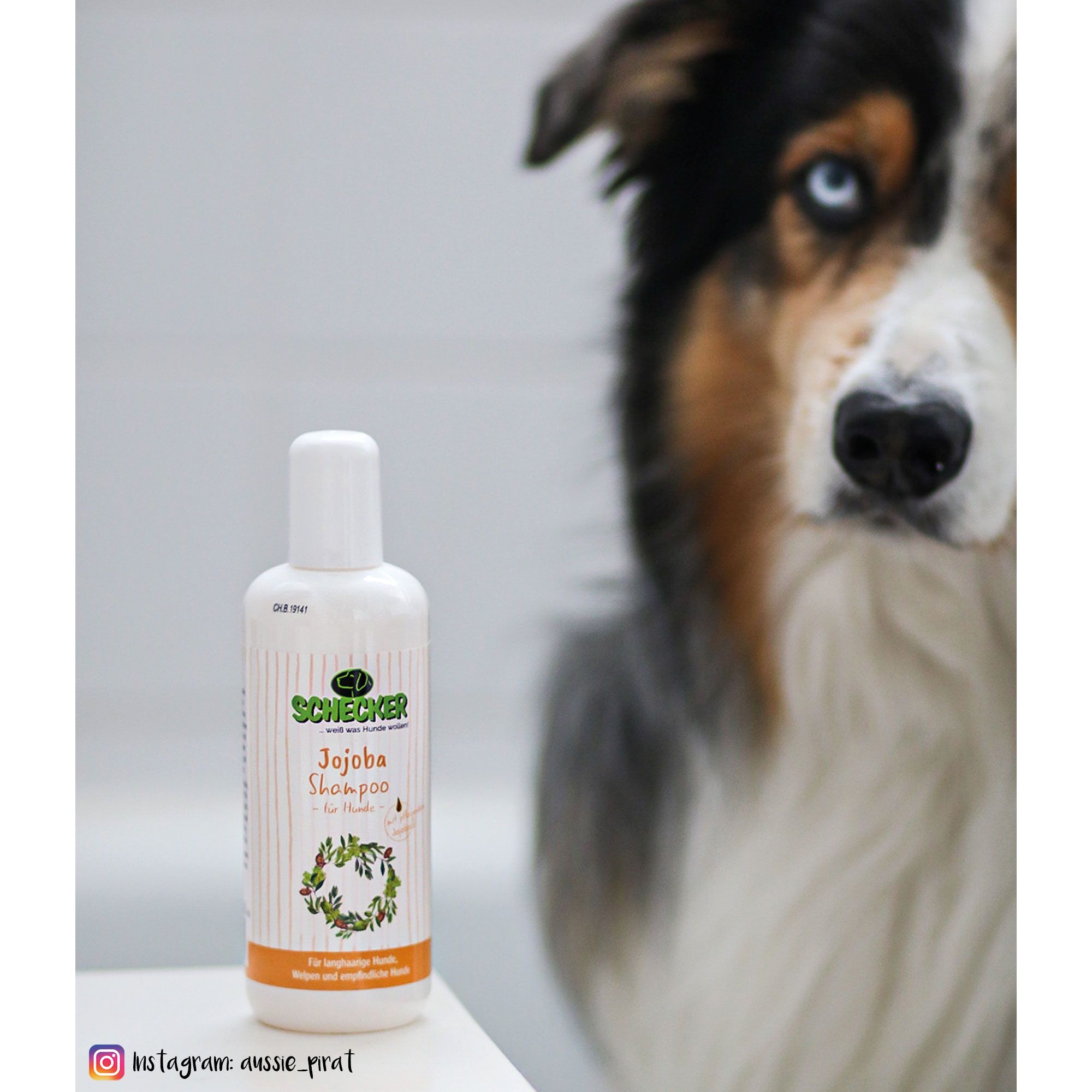GELAVET Jojoba Shampoo - Hundeshampoo für Welpen und empfindliche Hunde