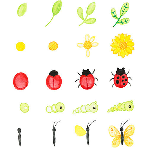 Creativ company ontdekkingskoffer voor de natuur
