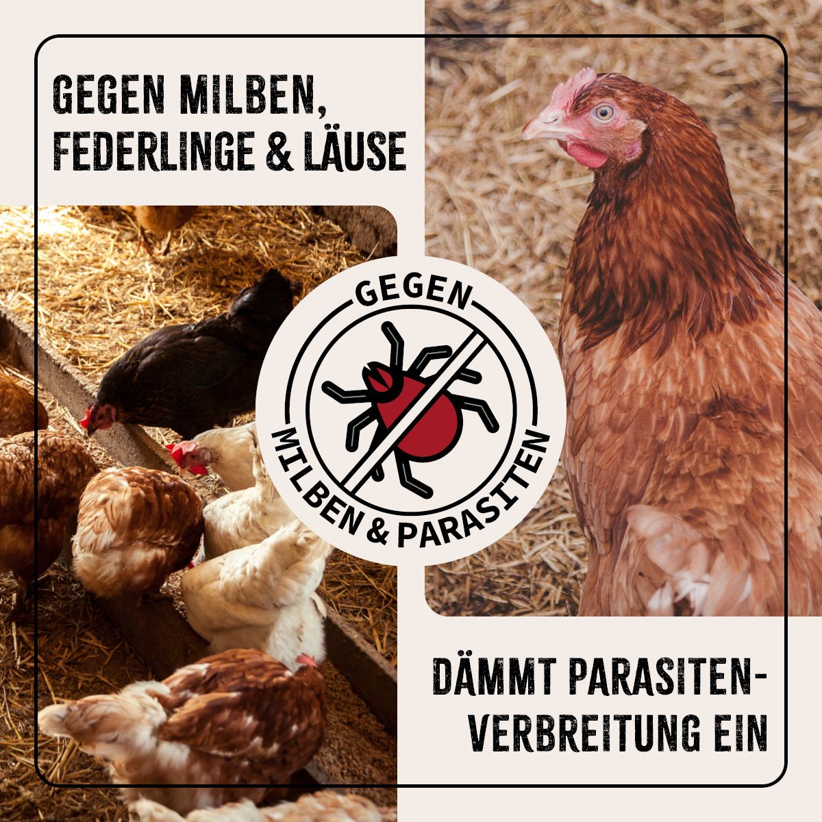 AniForte Milben-STOP flüssig für Hühner & Geflügel