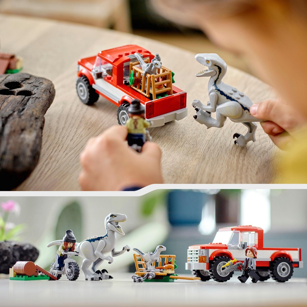 LEGO Jurassic World 76946 Blaues & Beta Velociraptor Fangspielzeug