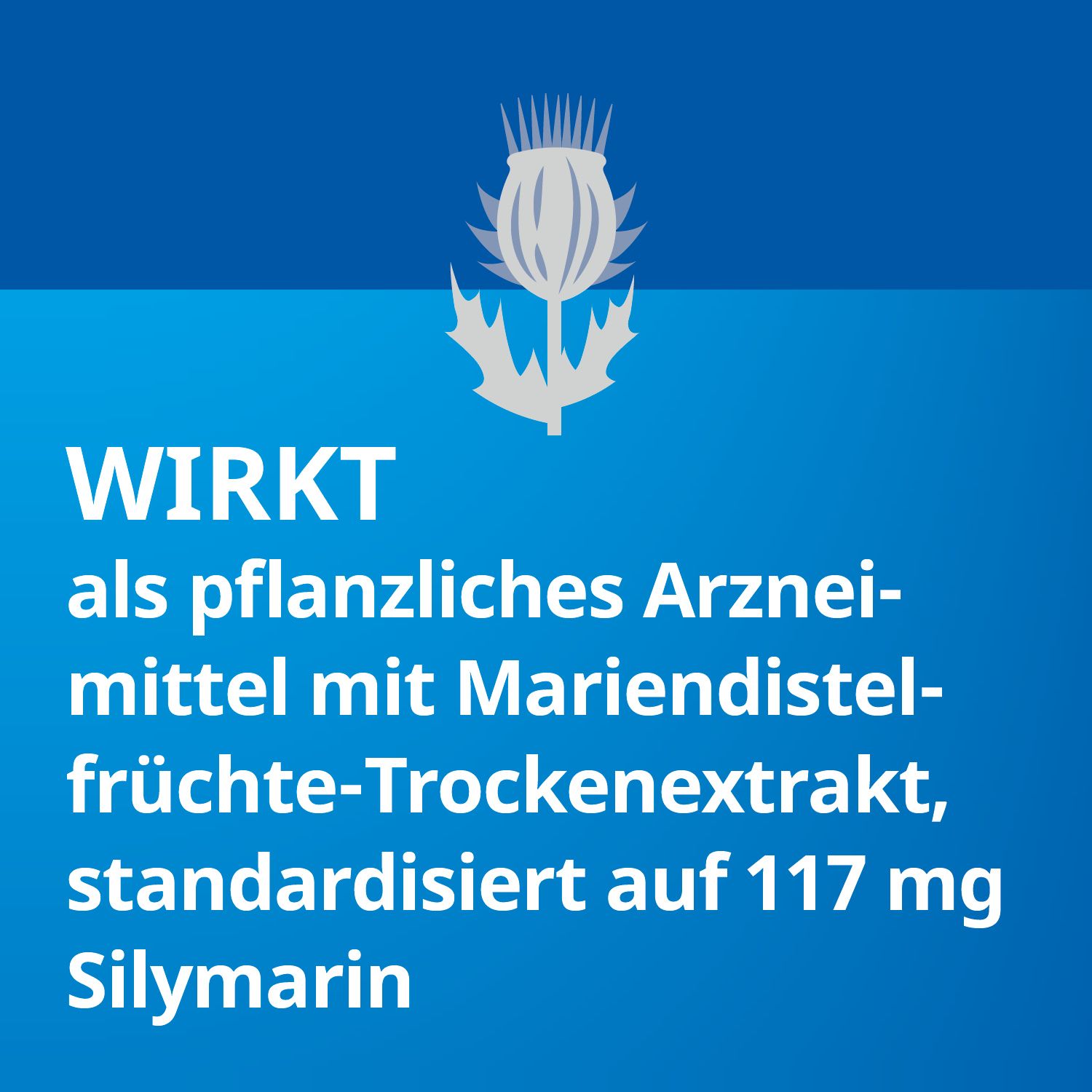 Silymarin STADA®, bei chronisch-entzündlichen Lebererkrankungen, Leberzirrhose und toxischen Leberschäden,