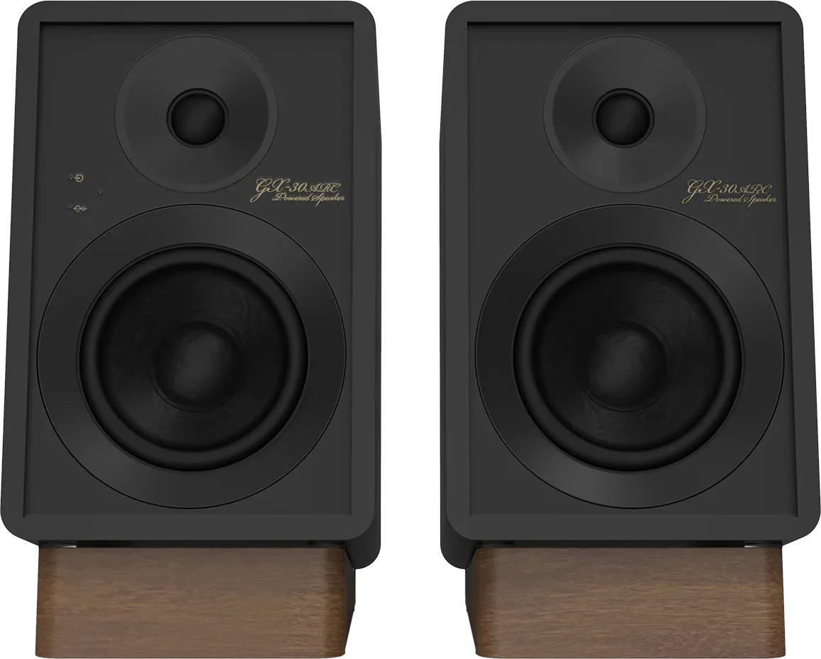 Onkyo GX-30ARC Noir Enceintes sans fil hi-fi