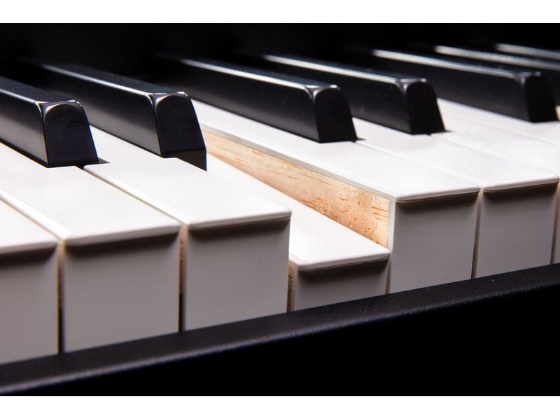 Roland Workstation FANTOM 8 EX Synthesizer-Topmodell mit intuitiver kreativer Bedienung, diversen Roland Soundtechnologien und einer Hammermechanik-Tastatur mit 88 gewichteten Tasten