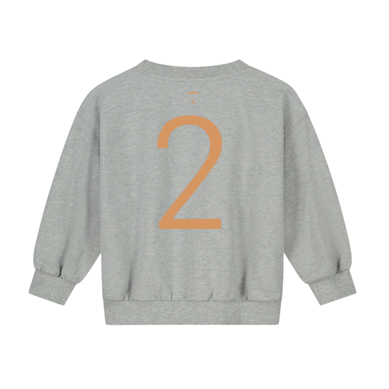 Baby Birthday Sweatshirt 2 Grey Melange Melon