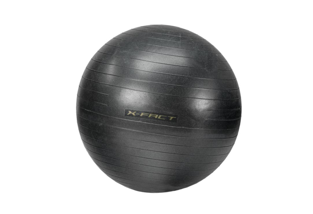 X FactGym Ball - grau
