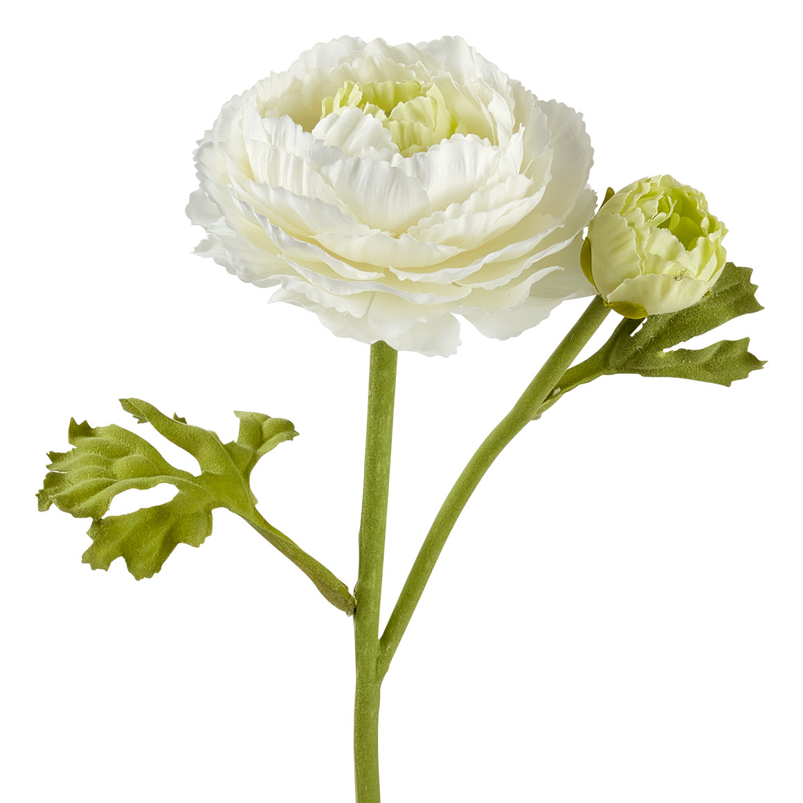 Kunstblume Ranunkel weiss