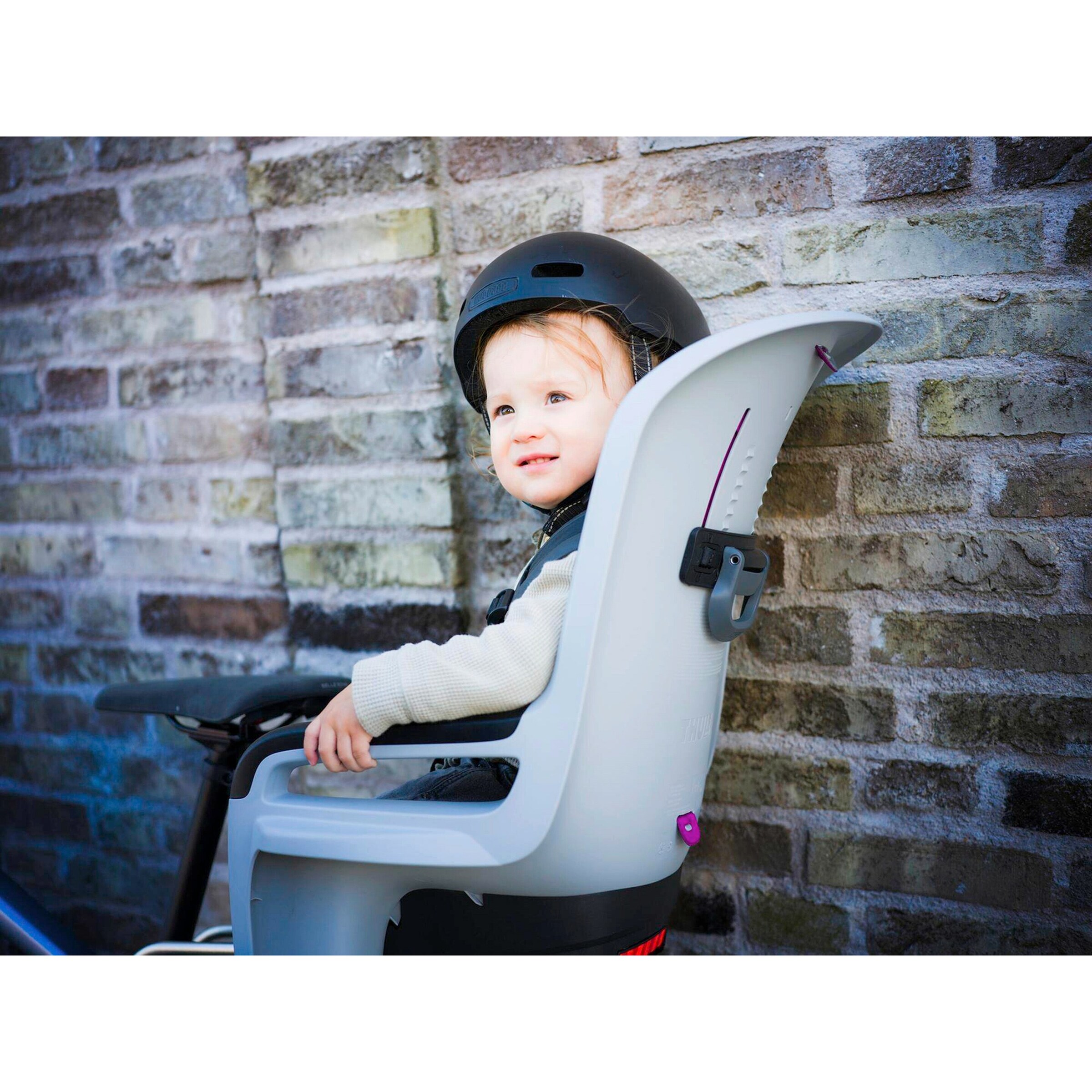 Thule Kinderfahrradsitz RideAlong 2 light gray