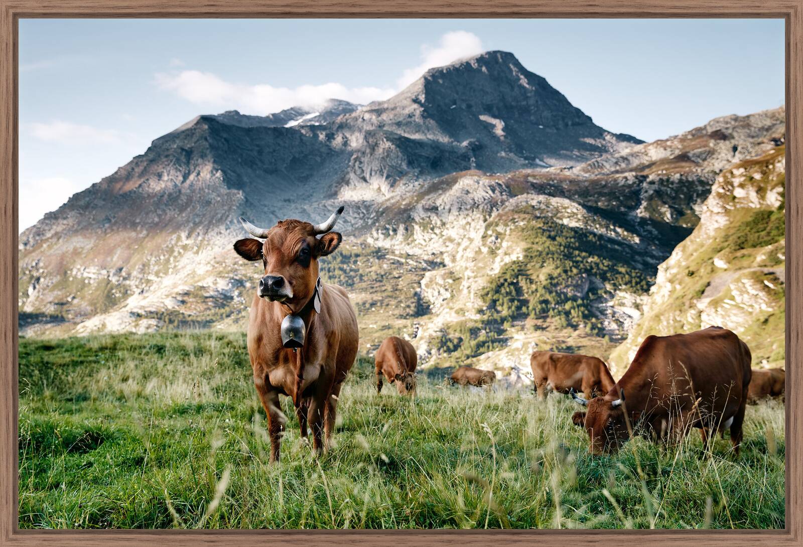Tarentaise by Ramona Waldner - Limited Edition. Edition of: 150. Signed.