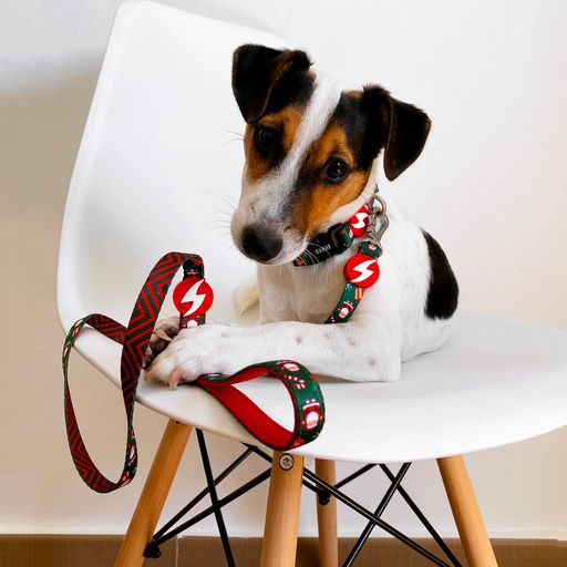 Guia para cães Noel em poliéster, várias cores.