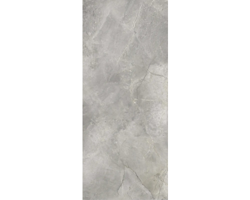 Porseleinen wand- en vloertegel Lido 279,7 x 119,7 cm zilver