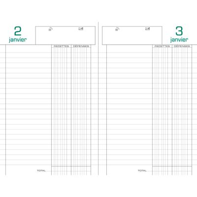 Agenda Carré recettes et dépenses - perpétuel - 1 jour par page - 13,5 x 21 cm - noir - Exacompta