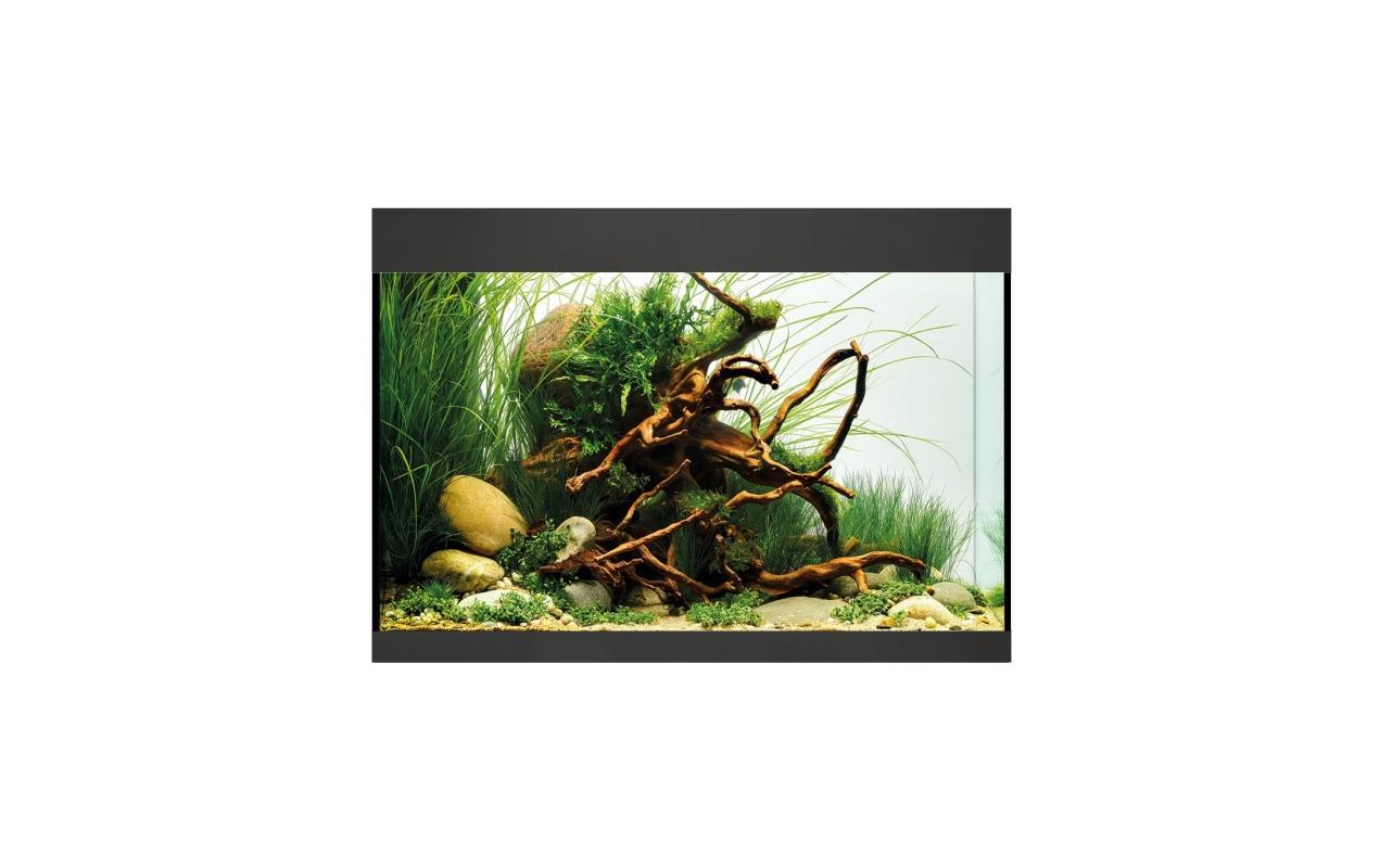 Aquarium StyleLine 125, 115 l, Schwarz<br>Hochwertiges StyleLine Aquarium aus Sicherheits-Floatglas mit geschliffenen Glaskanten