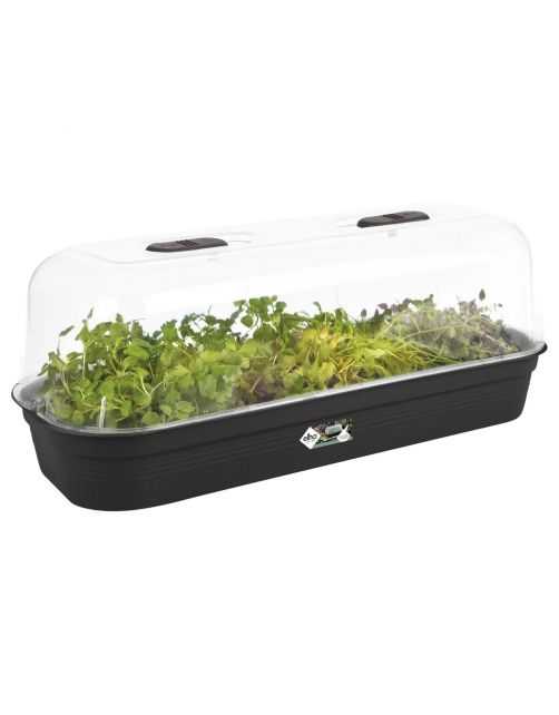 Elho Green Basics Kweektray Zwart - Kweekbenodigdheden