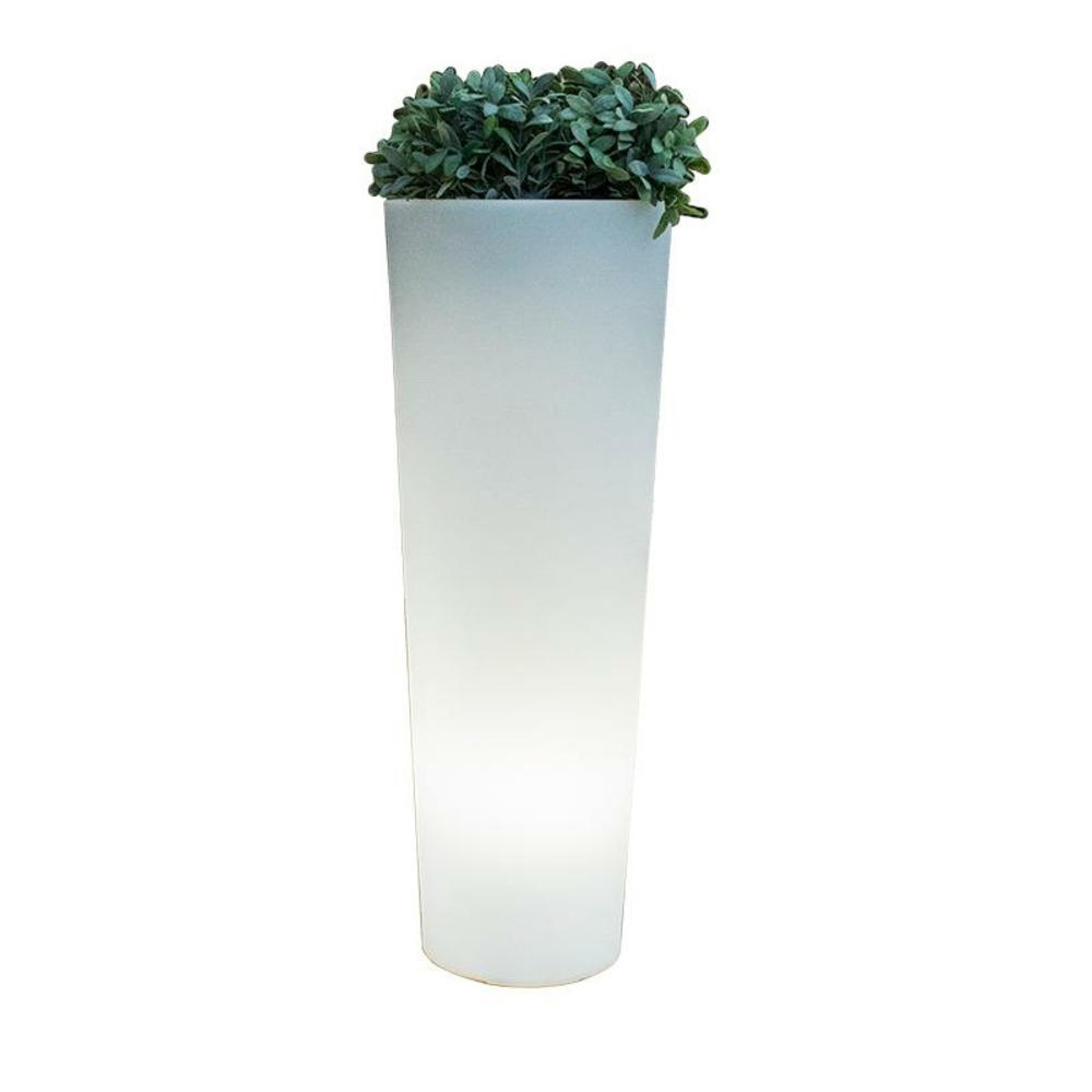 Pot lumineux ficus 80 lumière blanche froide par câble ø29x79cm