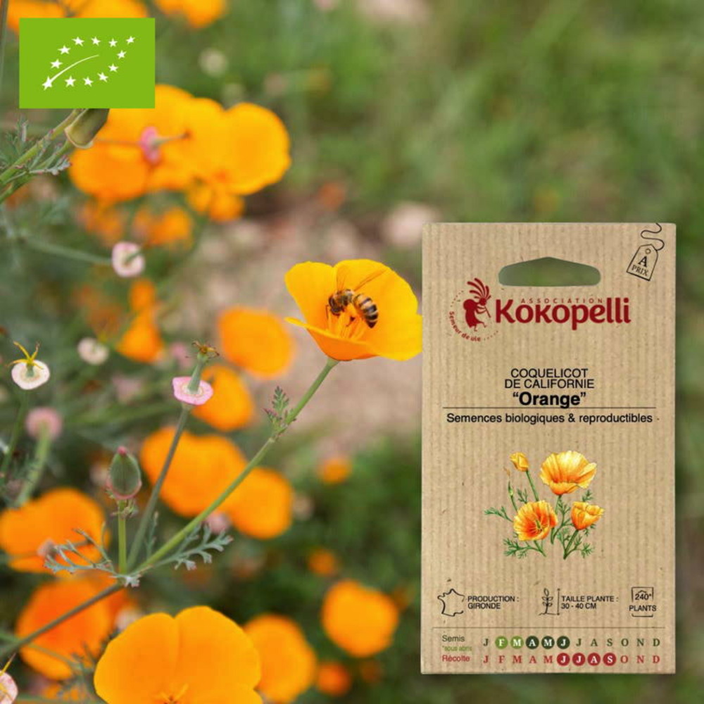 Sachet de graines bio à semercoquelicot de californie orange