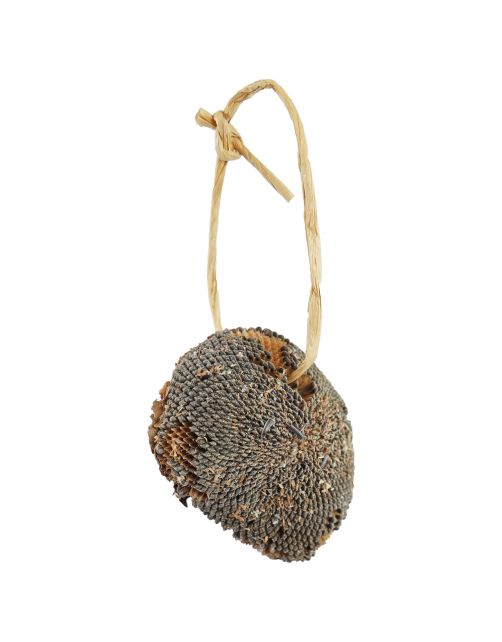 Jr Farm Zonnebloem - Vogelvoer - 6.5 x 12 x 18 cm 30 g