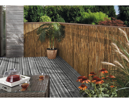 Konsta rieten privacyscherm, extra verhard, 3 x 1 m