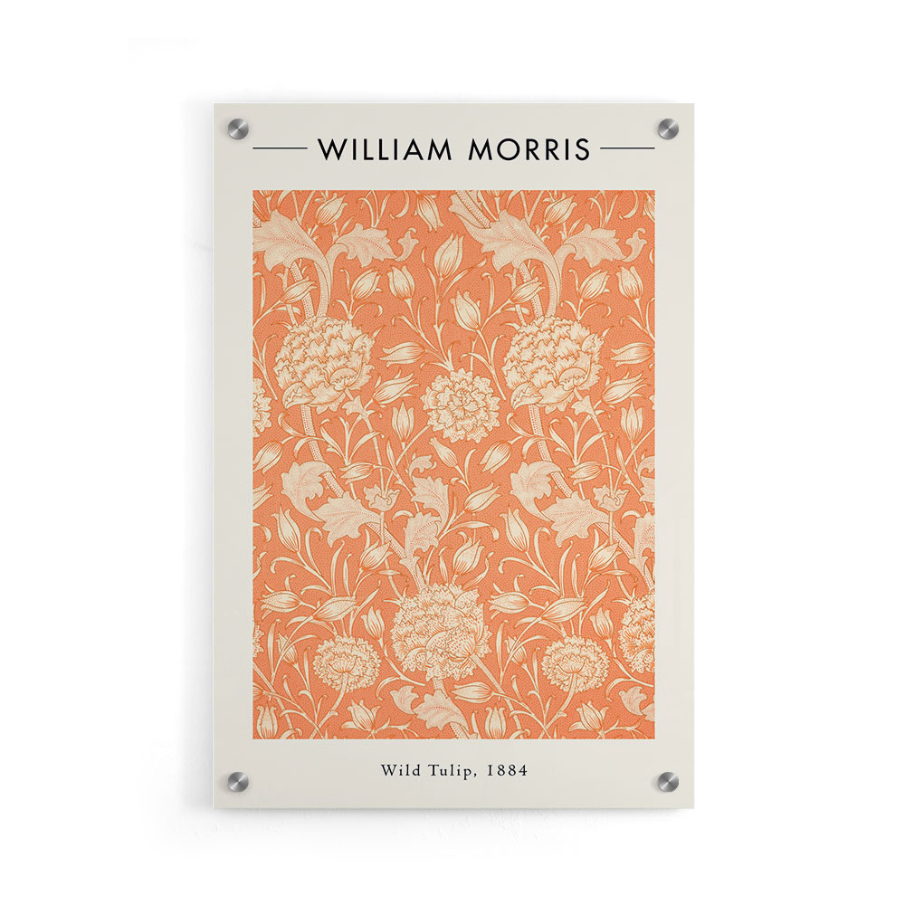 Walljar - plexiglas schilderij - william morris - wild tulip Plexiglas schilderij - 60 x 90 cm