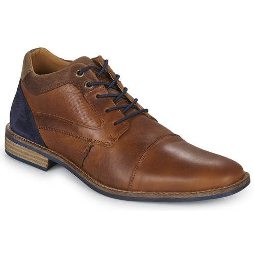 Bullboxer -  - Marron