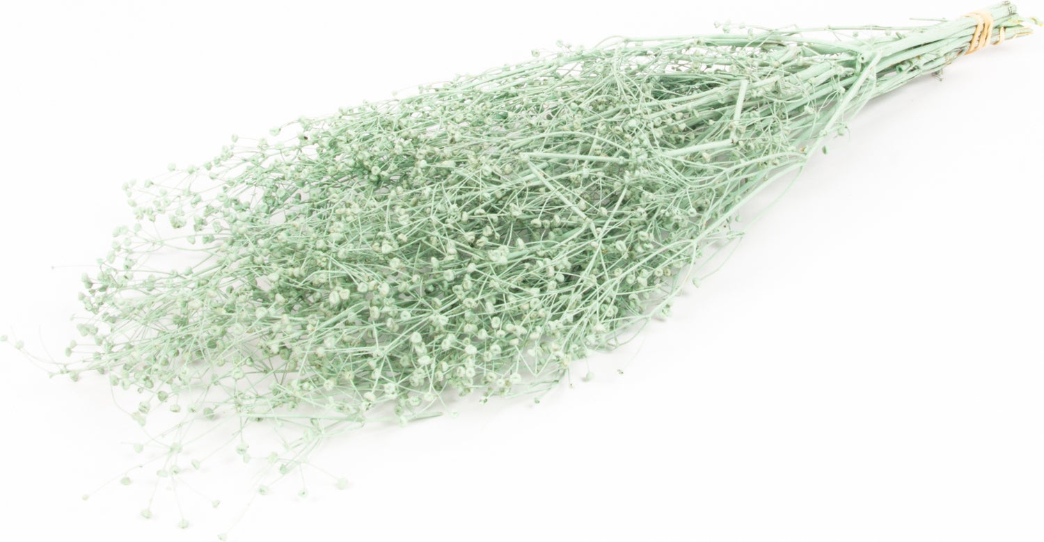 Droogbloemen Misty Massasa groen H 60 cm