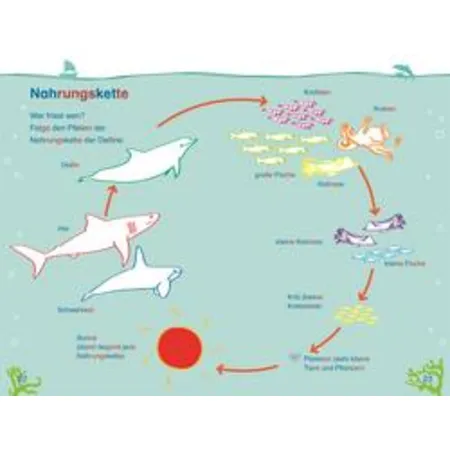DK Verlag SUPERLESER! Wo bist du, kleiner Delfin?