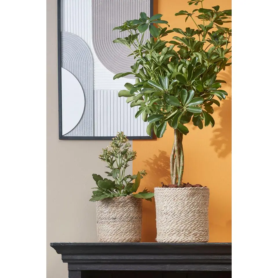 Mica Decorations Atlantic Mand voor Planten Set van 2 - Ø20 cm - Crème
