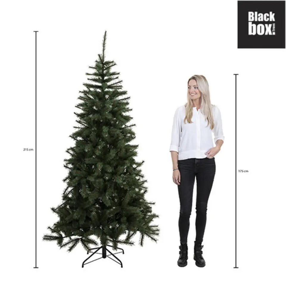 Black Box Trees Charlton Kunstkerstboom - H215 x Ø127 cm - Groen