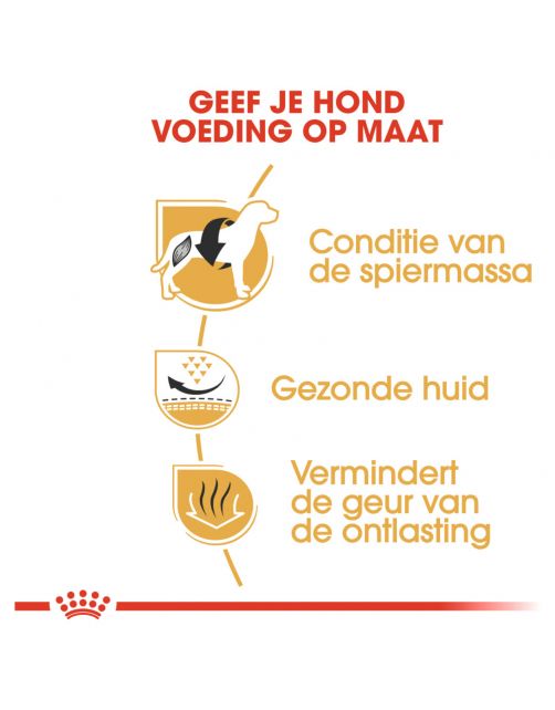 Royal Canin French Bulldog Adult - Hondenvoer