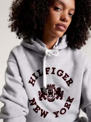 Moletom com capuz e logo flocado estilo universitário