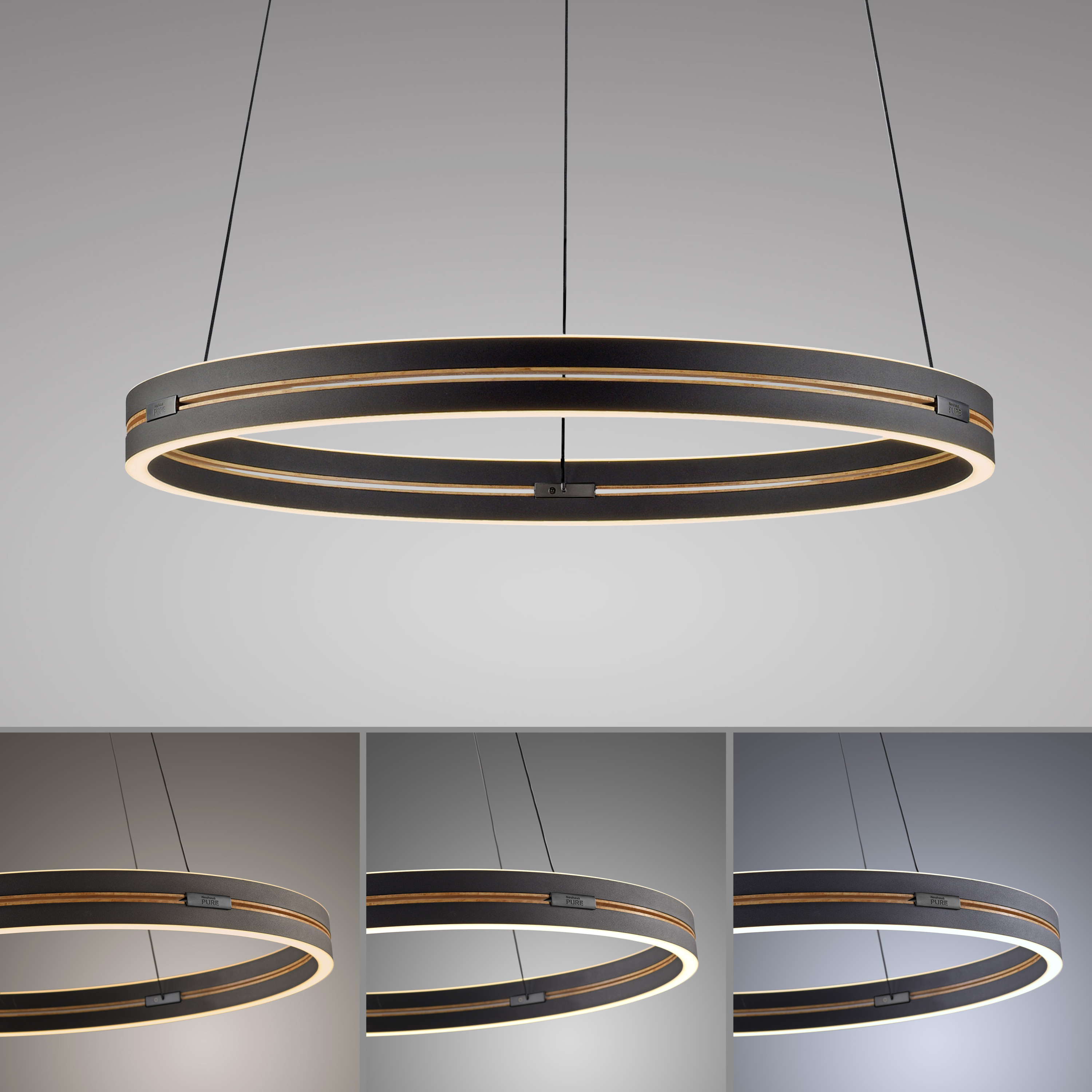 Pendelleuchte PURE E-LOOP