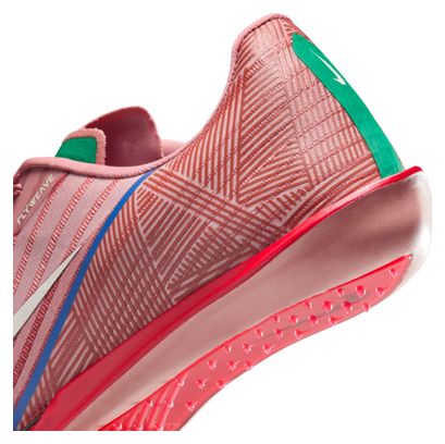Chaussures d'Athlétisme Nike Maxfly 2 Marron/Rouge Homme