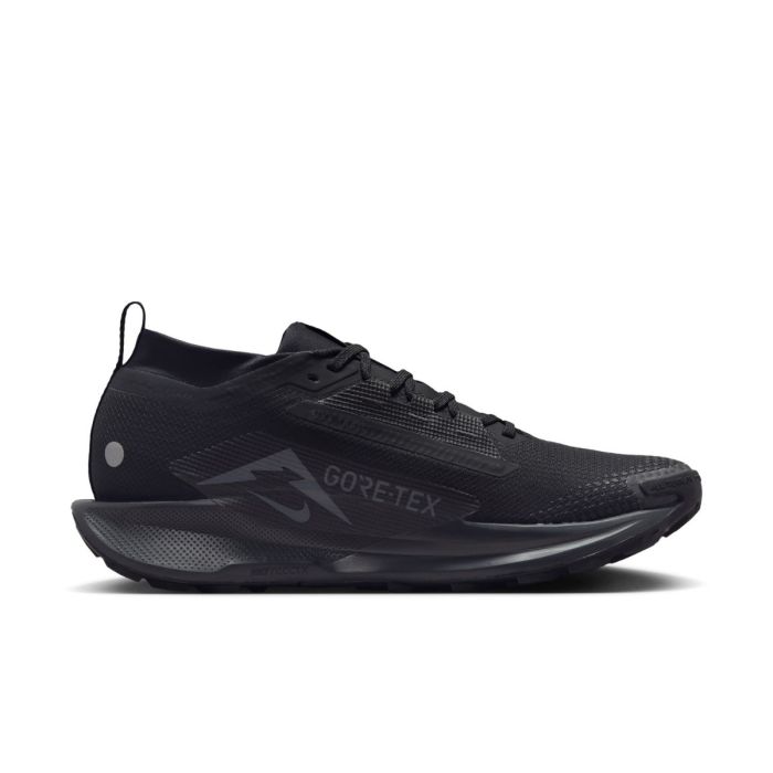 Nike Herre Trailsko Pegasus Trail 5 Gore-Tex Sort