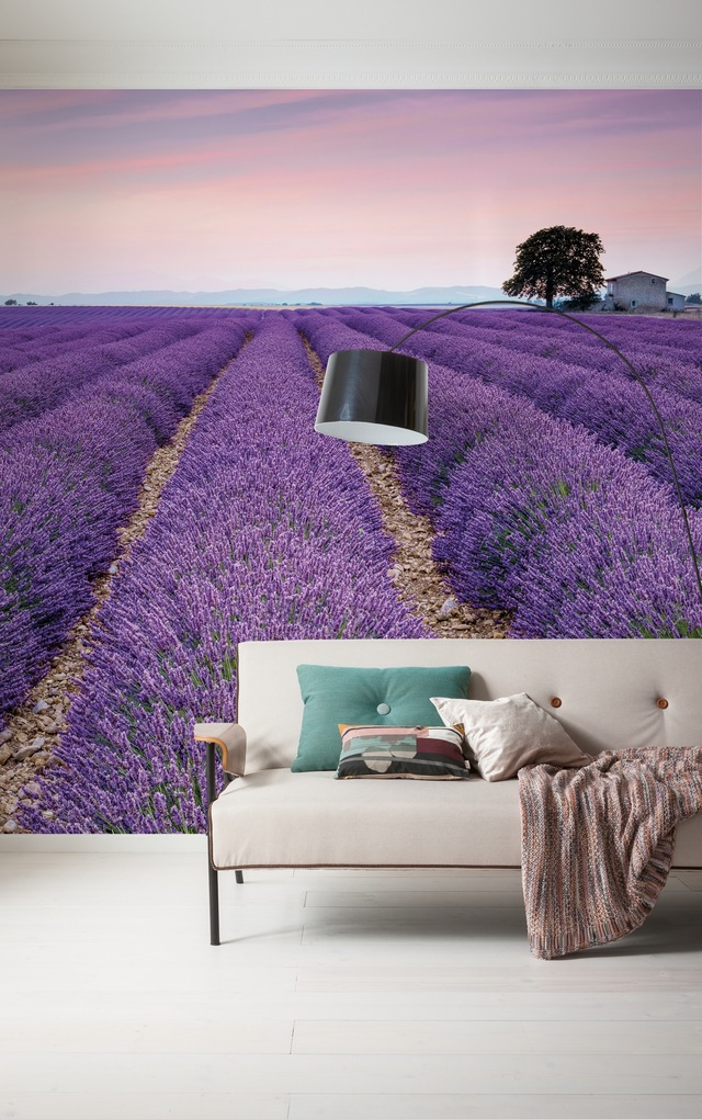 Komar Fototapete »Digitaldruck Vlies -  Provence - Grösse 300 x 250 cm« bedruckt glatt Wohnzimmer, Schlafzimmer