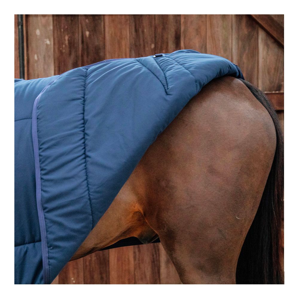 Kentucky CLASSIC 100G - Sous-couverture navy
