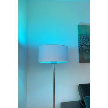Lutec Connect slimme ledlamp Led Bulb wit en gekleurd licht E27 9W
