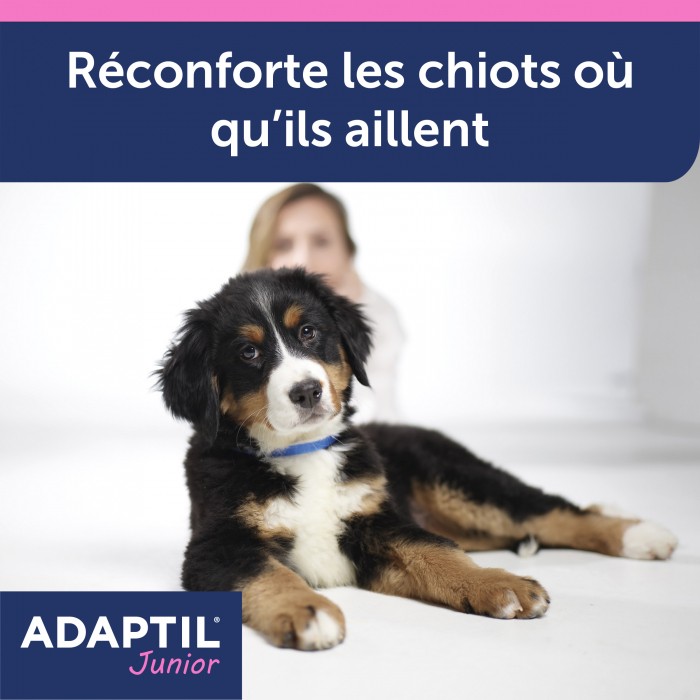 ADAPTIL Junior collier
