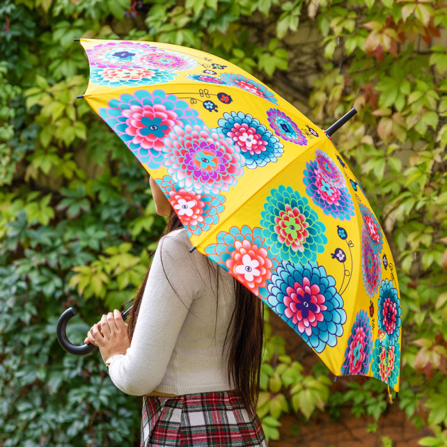 Parapluie - Rainbeau