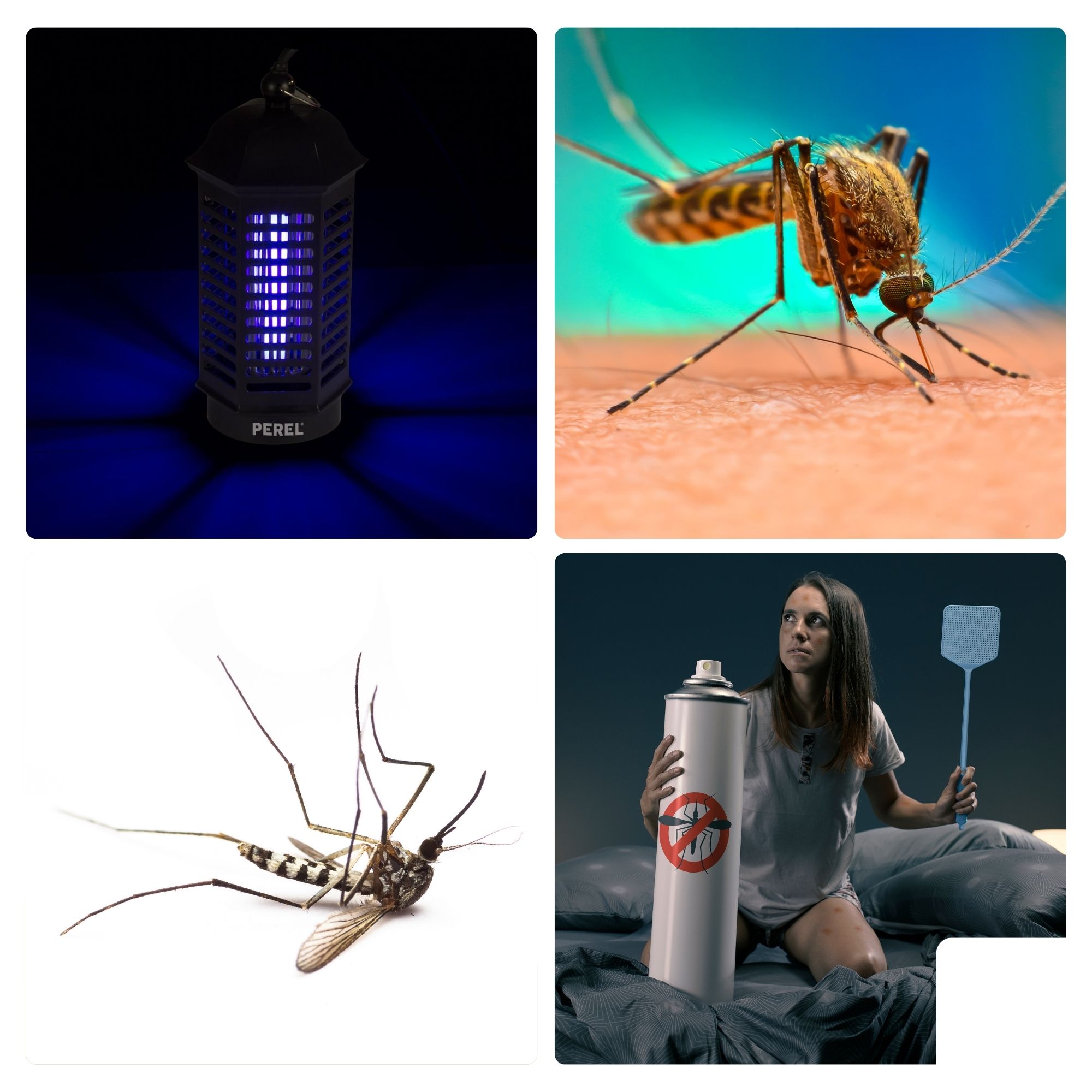 Perel GIK06N insectenlamp