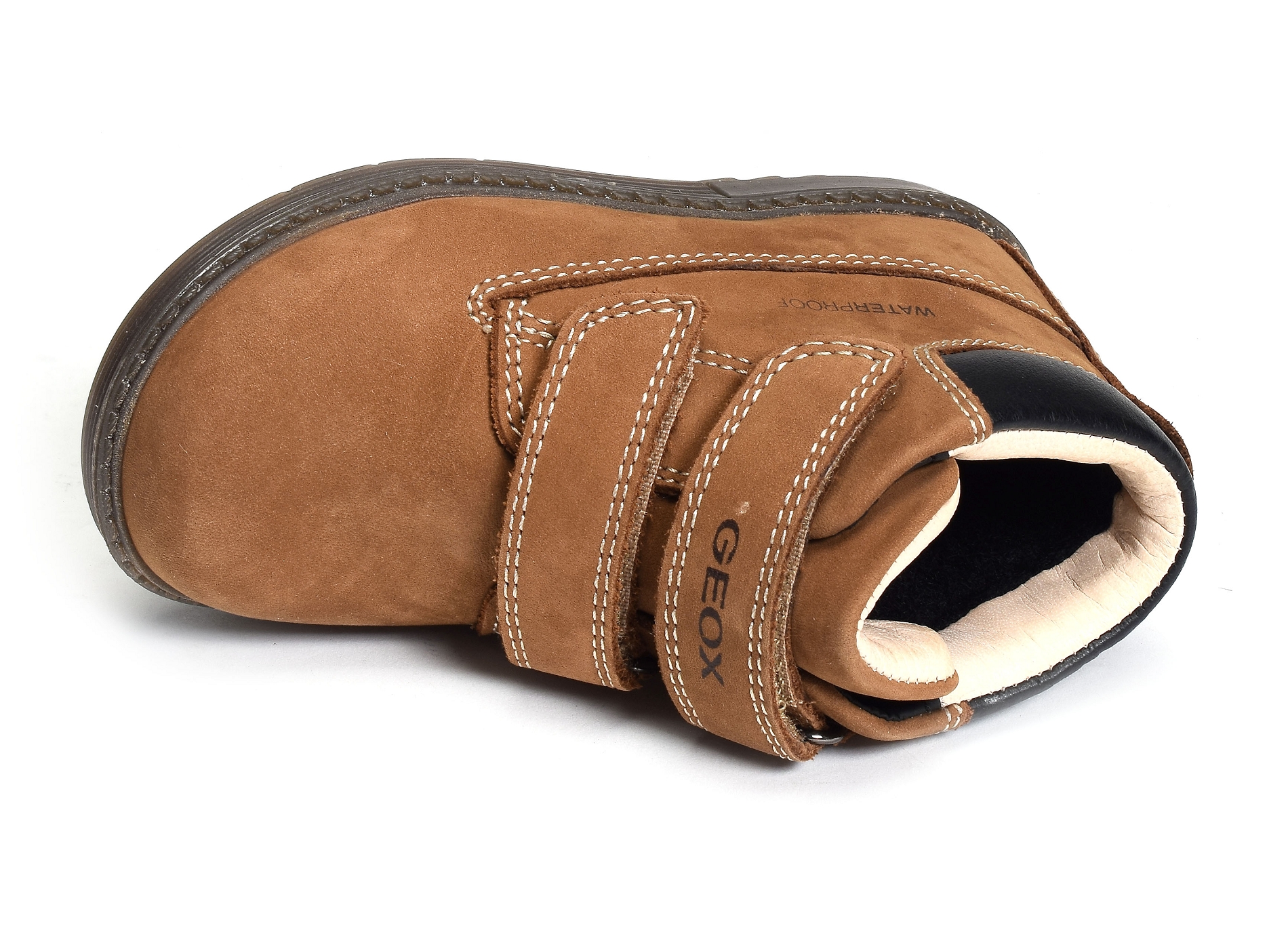 B hynde b camel