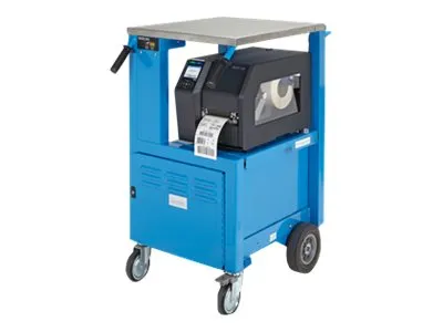 Printronix T8204 - Etiketprinter - direkte termisk/termisk overførsel - Rulle (10,4 cm) - 203 dpi - op til 305 mm/sek. - USB, LAN, seriel