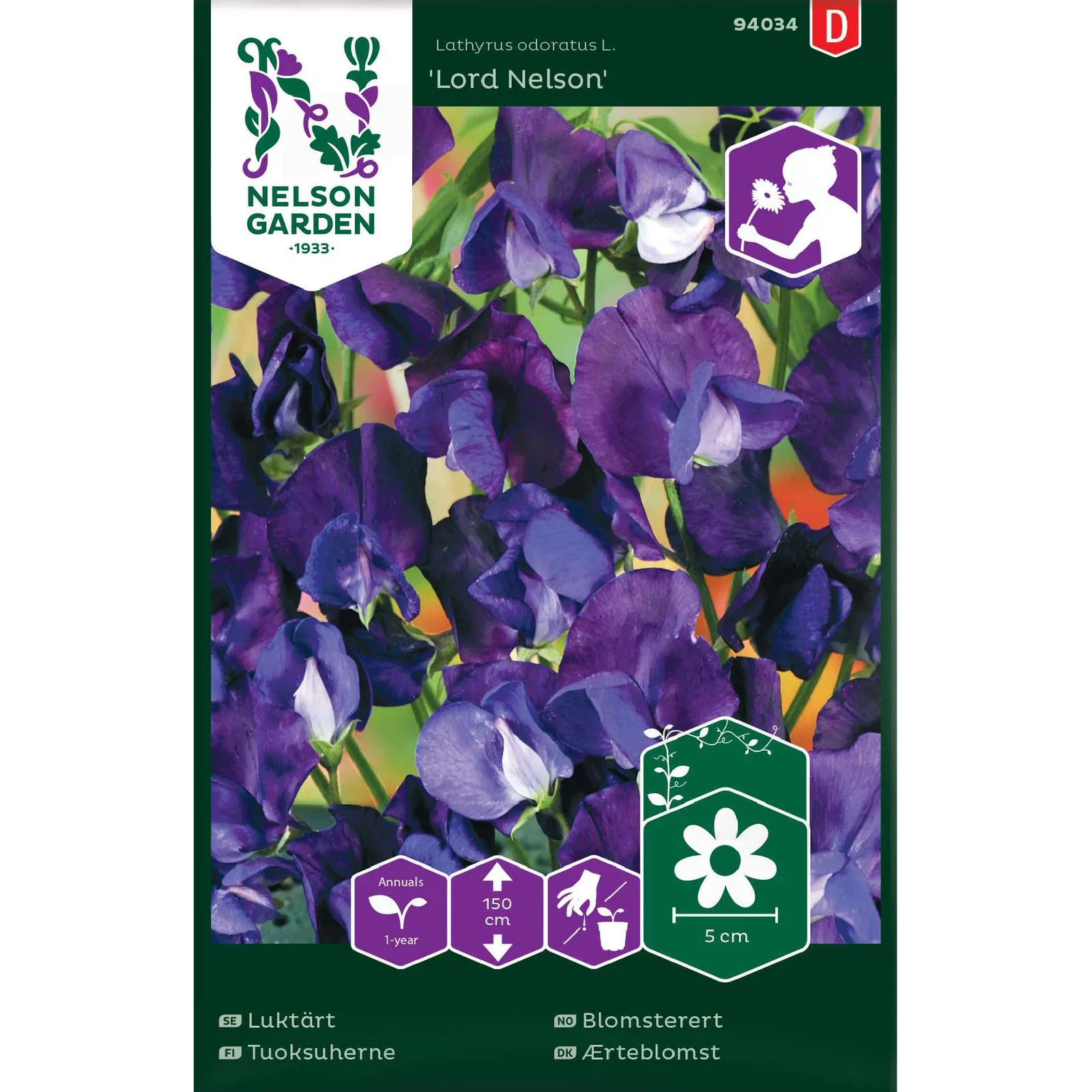 Lathyrus odoratus 'Lord Nelson', Erteblomst 'Lord Nelson'