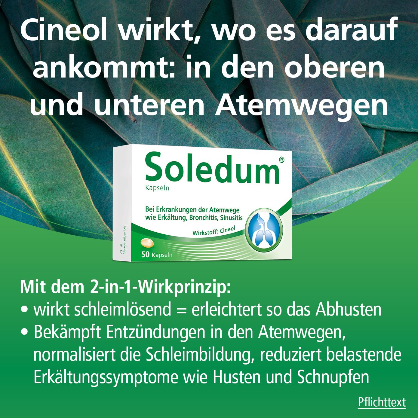 Soledum® Kapseln bei Erkältung, Bronchitis & Sinusitis