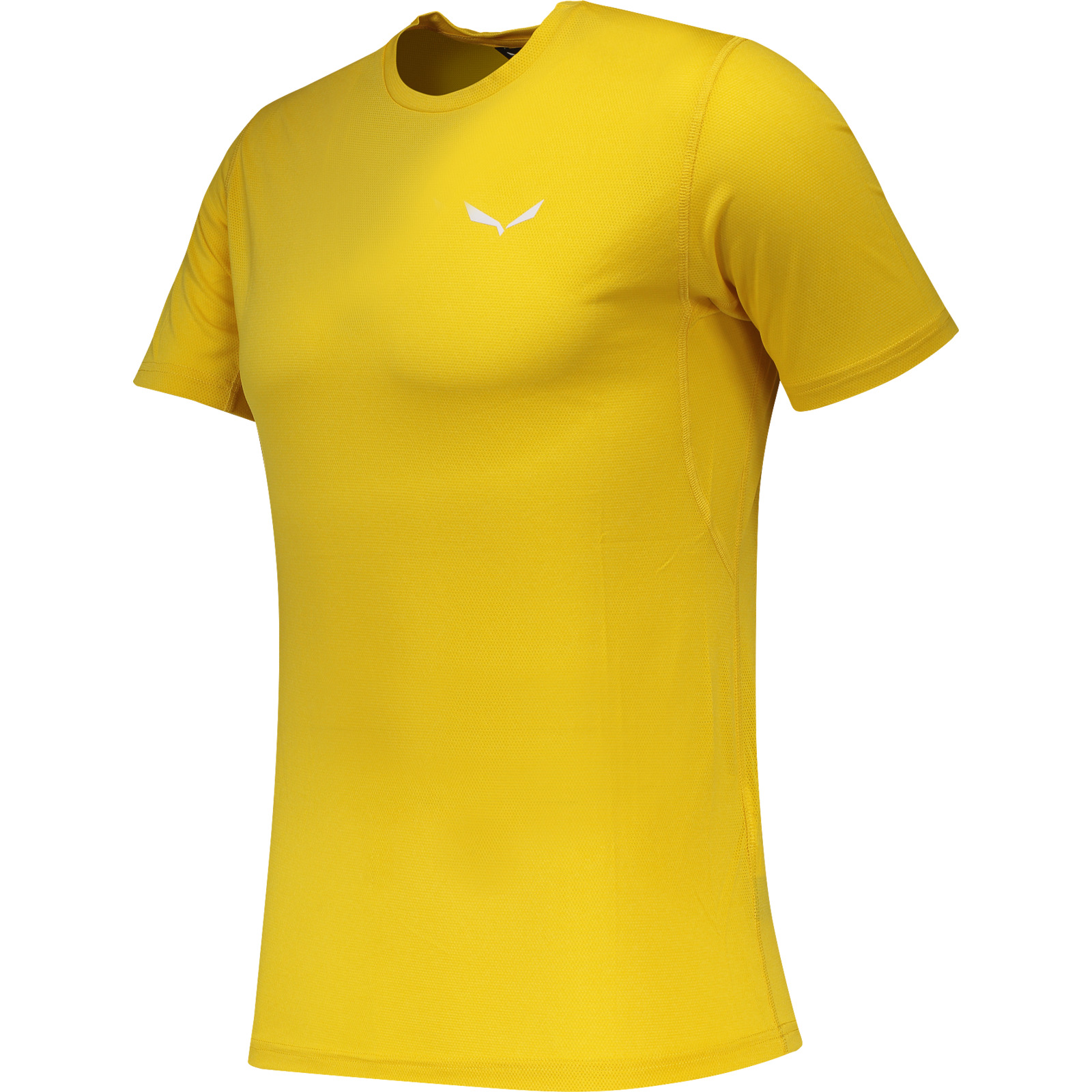 Salewa Herren-T-Shirt Pedroc 3 Dry XL