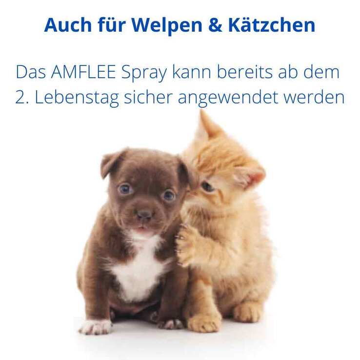 Amflee Spray für Katzen und Hunde, 100 ml