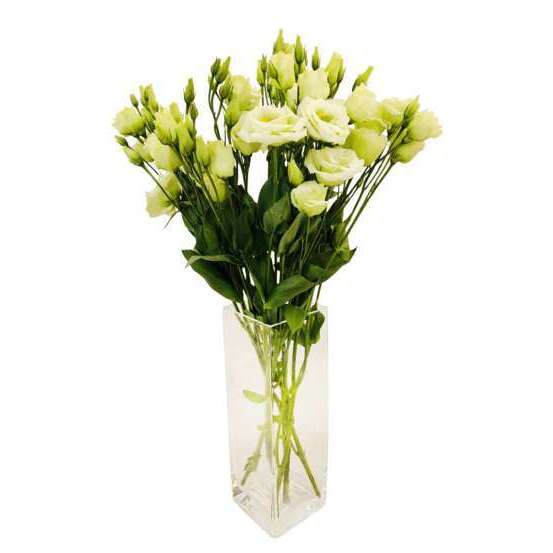 Botte de Lysianthus - 5 tiges : coloris variables