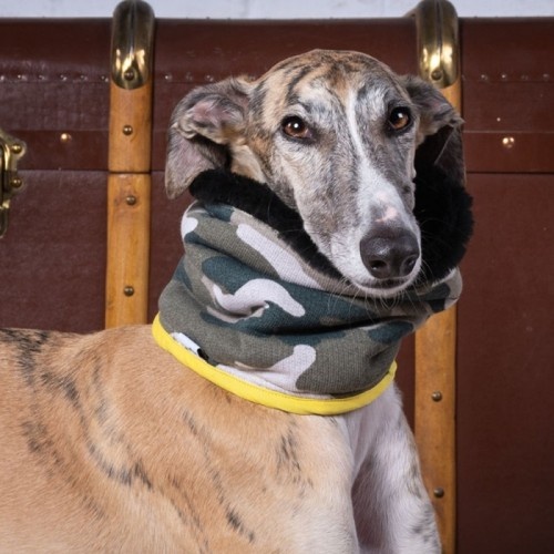 Coleira de camuflagem Uoamy para cães